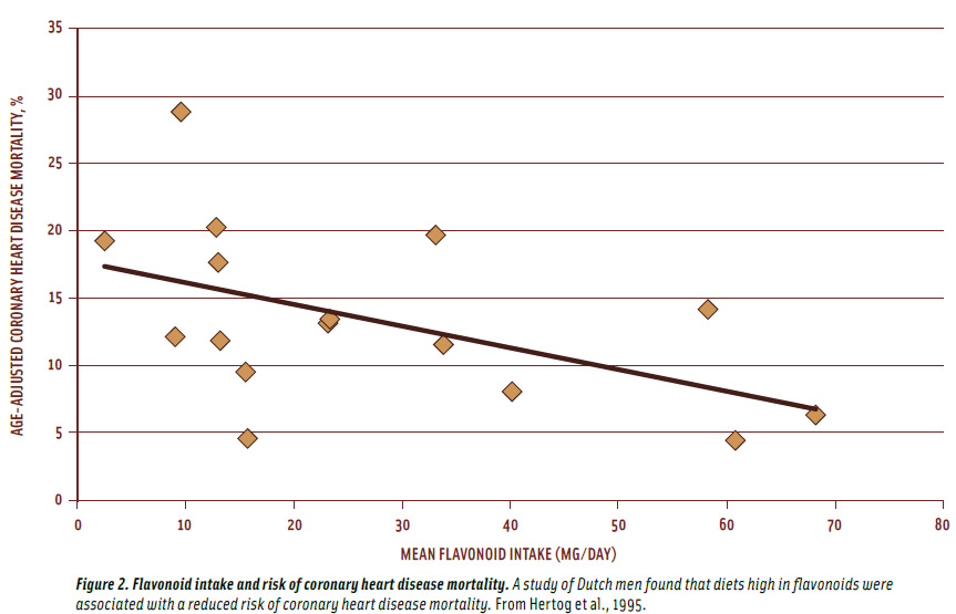 Figure 2. Flavonoid intake and risk of coronary heart disease mortality. A study of Dutch men found that diets high in flavonoids were associated with a reduced risk of coronary heart disease mortality. From Hertog et al., 1995.
