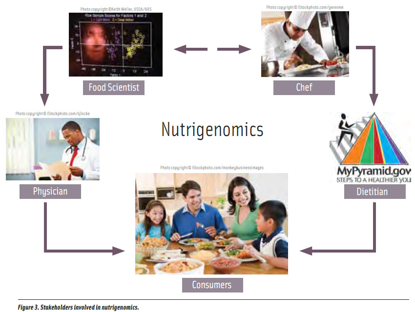Figure 3. Stakeholders involved in nutrigenomics.