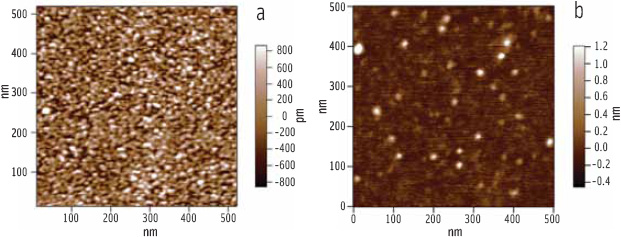 Figure 7. Comparative AFM images of lipase-colipase penetration into a mixed DPPC phospholipid-bile salt film (a) and mixed DGDG galactolipid-bile salt film(b).