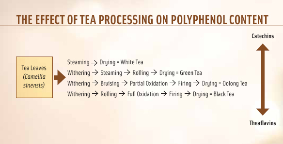 During the oxidation process that turns green tea into black tea, catechins are converted to theaflavins; both are polyphenolic antioxidants.