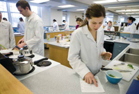 Students in a nutritional sciences course at Cornell University participate in a food preparation activity.