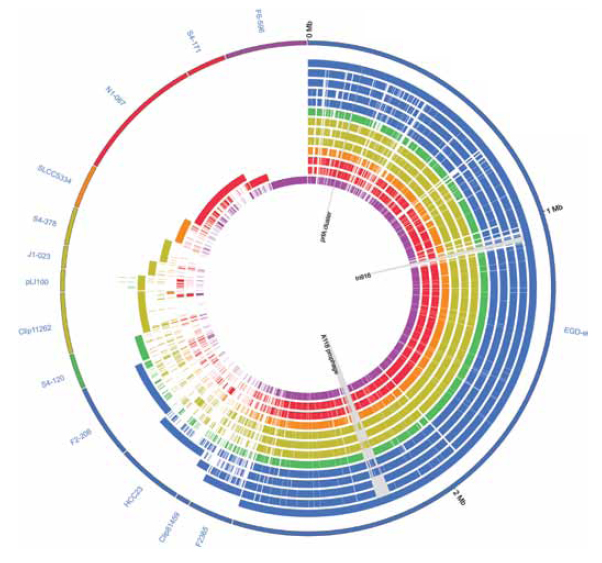 Figure 2. Full genome alignment of 13 Listeria chromosomes and L. innocua plasmid pLI100 presented as originally published by BMC Central in den Bakker et al. (2010). The outermost circle indicates the source of each gene in the pan-genome. Internal circles indicate gene presence (solid color) or absence (unfilled) of each gene in each of the 13 strains examined. Circles from outer to inner are in the same order as strains on the outer circle, starting with EGD-e, followed by F2365, etc. L. monocytogenes strains are in blue; L. marthii is in green; L. innocua strains are in gold; L. welshimeri is in orange; L. seeligeri strains are in red; L. ivanovii subsp. londoniensis is in purple.