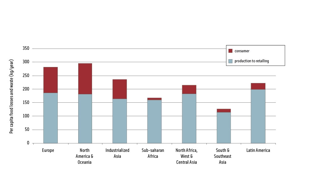 Figure 1. Per capita food losses and waste, at consumption and pre-consumption stages, in different global regions.
