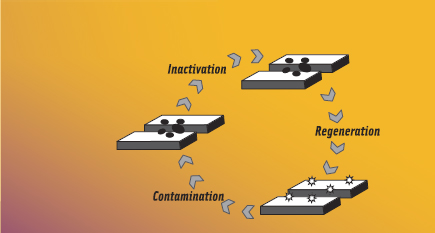 Figure 2. A self-sanitizing processing surface would function as depicted in this graphic.