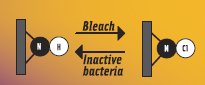 Figure 3. This is the structure of the antimicrobial N-halamine, which is capable of regenerating itself.