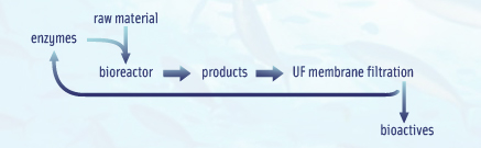 Figure 1. Continuous separation of bioactives using an ultrafiltration membrane reactor system.