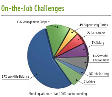 Figure 6. What is the biggest challenge you face on the job?