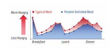 A protein-enriched diet allows eating to appetite at a lower caloric intake. This leads to weight