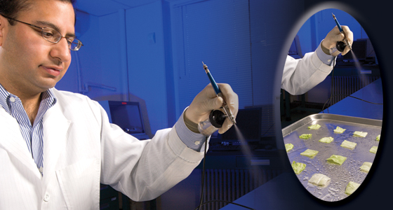 Microbiologist Manan Sharma sprays a bacteriophage mixture on fresh-cut lettuce.