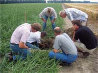 Participants in the Skylark project supply Heineken with sustainably sourced barley.