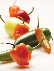 Chili peppers come in a range of colors, shapes, sizes, flavors, and heat levels.