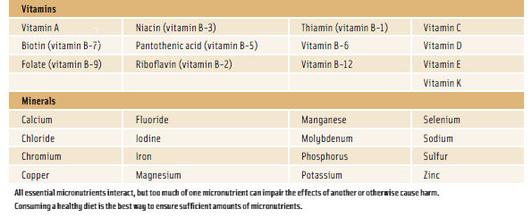 The Essential Vitamins and Minerals