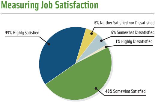 Figure 2. How would you rate your level of job satisfaction?