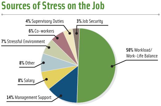 Figure 5. What is the biggest challenge you face on the job?