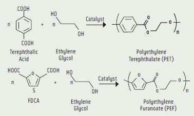 Figure 3. Reactions for production of polyethylene terephthalate (PET) and polyethylene furanoate (PEF)