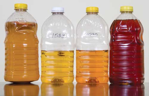 Visible hallmarks of spoilage in apple juice