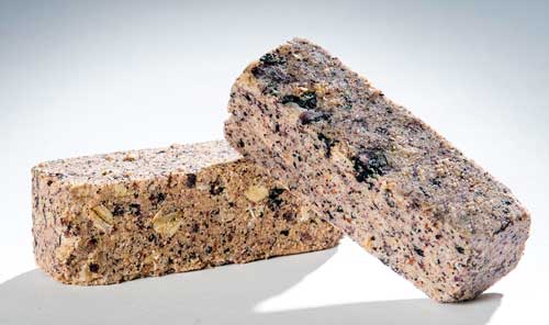 Vitamin-Fortified Blueberry Granola Bars