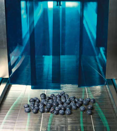 UV treatment of fruit