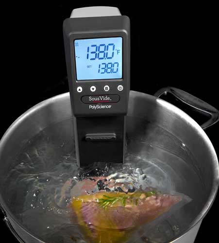 PolyScience immersion circulator