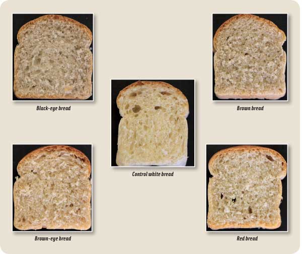 Figure 3. Comparison of control white bread with four breads baked with Bambara groundnut insoluble fiber.