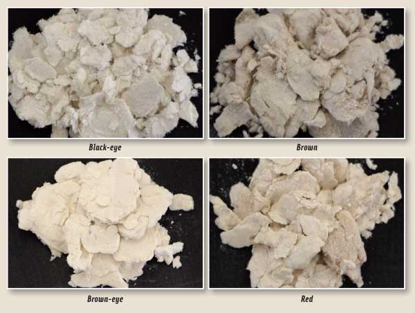 Figure 4. Bambara groundnut soluble dietary fibers