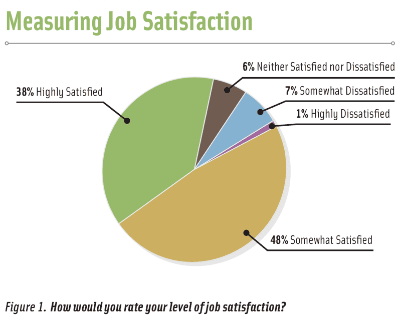 Figure 1. How would you rate your level of job satisfaction?
