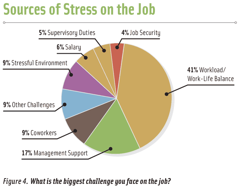 Figure 4. What is the biggest challenge you face on the job?