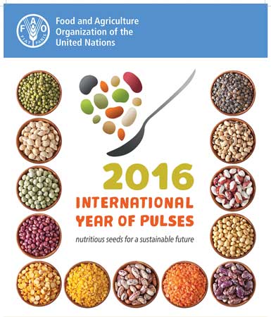 2016 the year of pulses 