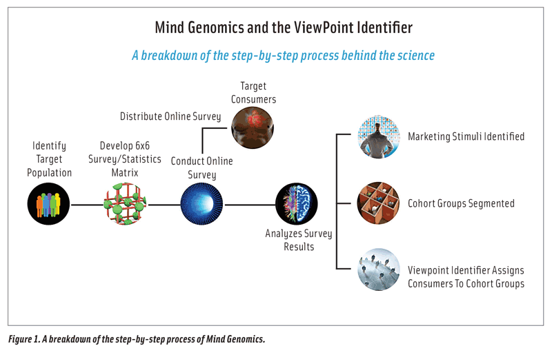 Figure 1. A breakdown of the step-by-step process of Mind Genomics.