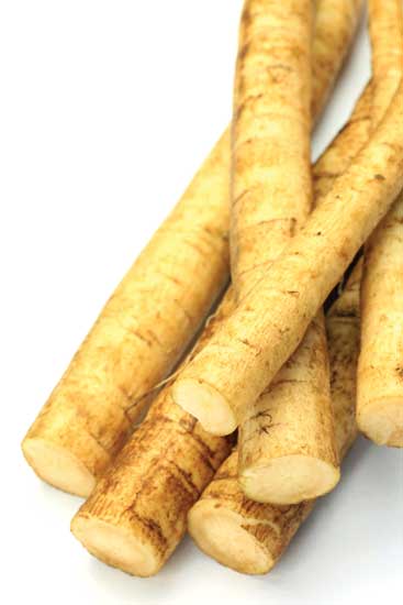 Burdock root