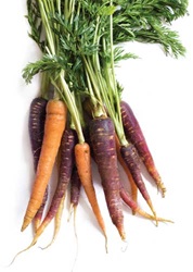 Orange and purple carrots