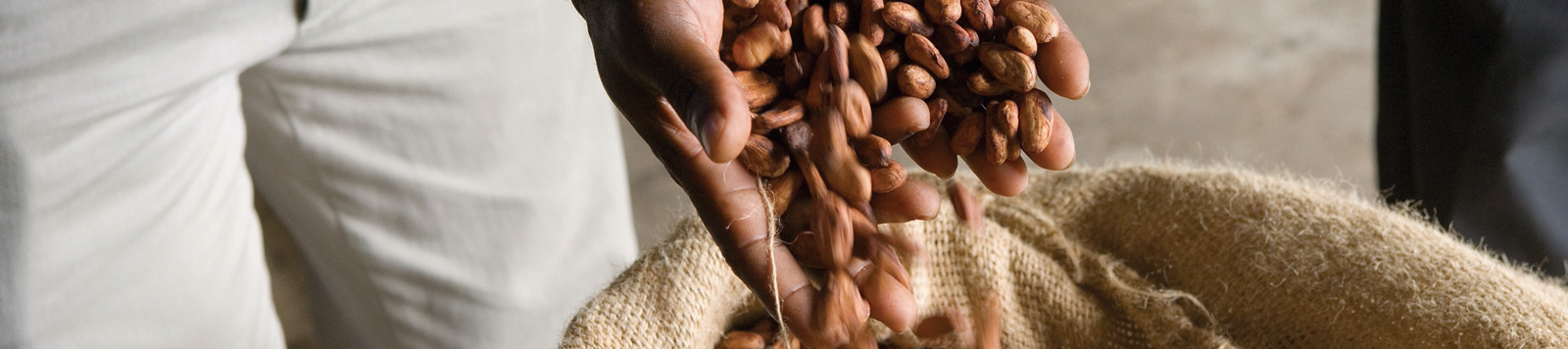 Cocoa Beans