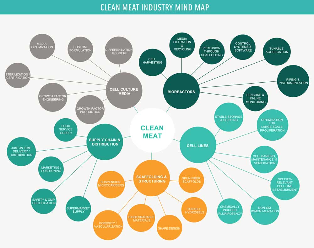 Figure 1. This conceptual mind map illustrates the primary elements for development and production of clean meat at large scale. Illustration courtesy of The Good Food Institute