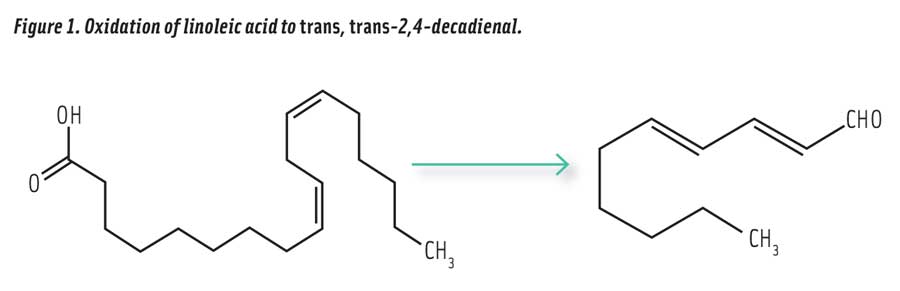 Figure 1. Oxidation of linoleic acid to trans, trans-2,4-decadienal.