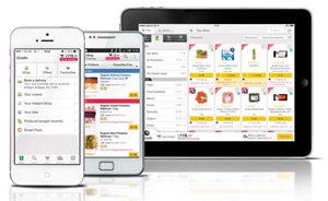 Online grocery shopping and fulfillment platform