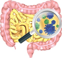 Gut microbiota