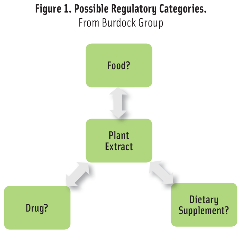Figure 1. Possible Regulatory Categories.  From Burdock Group