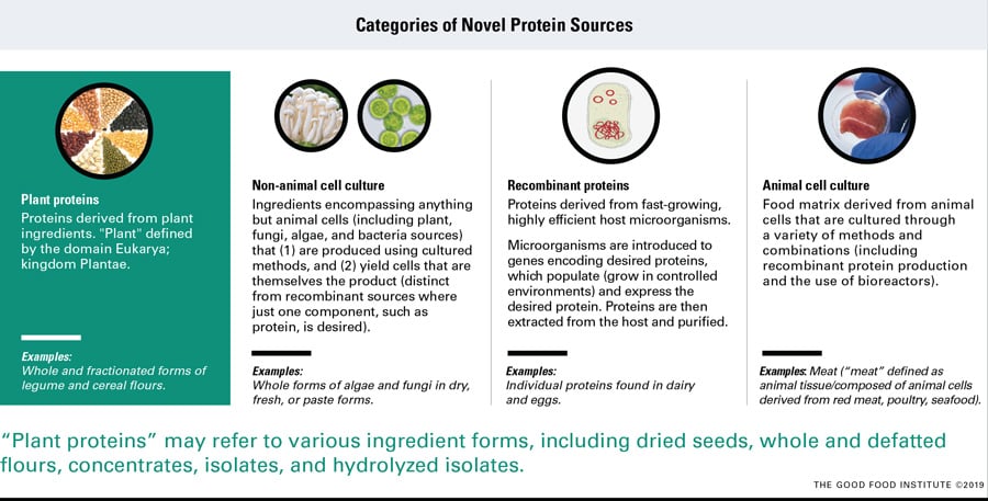 Figure 1. Animal-free products may incorporate one or a combination of novel proteins. Categorized into four sources from a production, cost, and infrastructure perspective, novel proteins derived from plants, non-animal cell culture, and recombinant proteins may compose the current and future of “plant-based.”