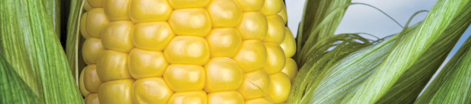 Inside Academics 9x2