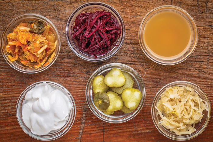 Fermented Foods for Microbiome