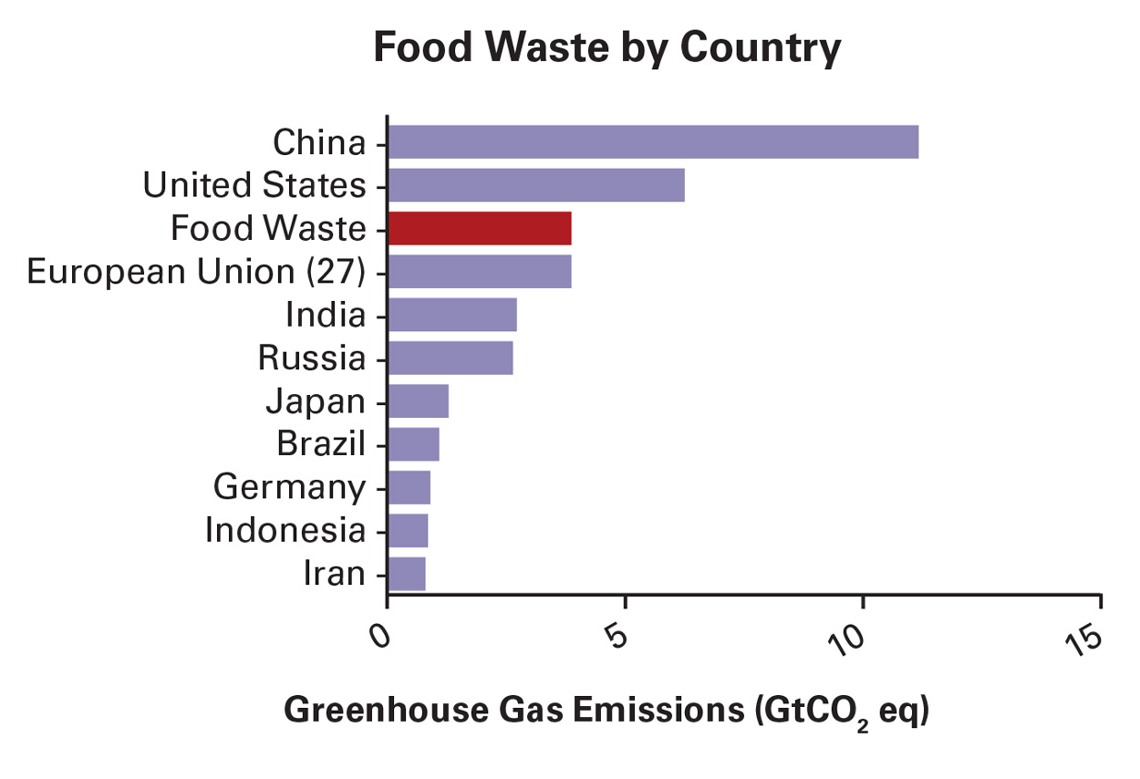 Figure 1 Food Waste