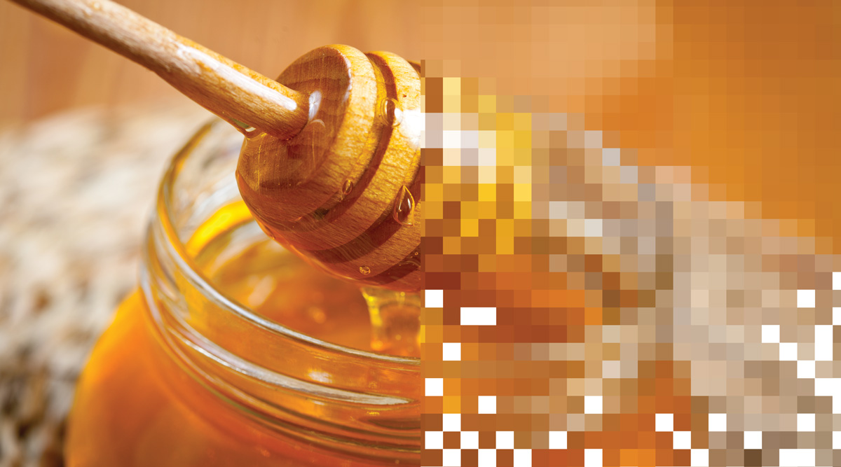 Food Fraud Honey