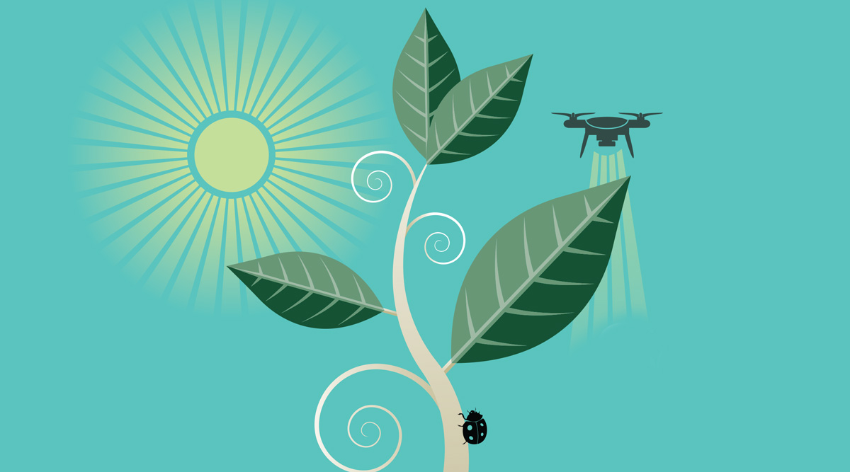 plant and drone
