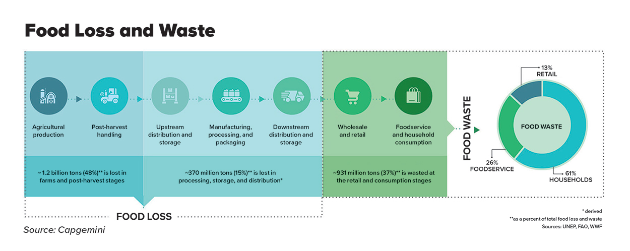 Food Loss and Waste Infographic