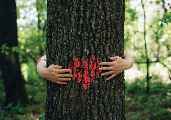 Hugging Tree with red heart