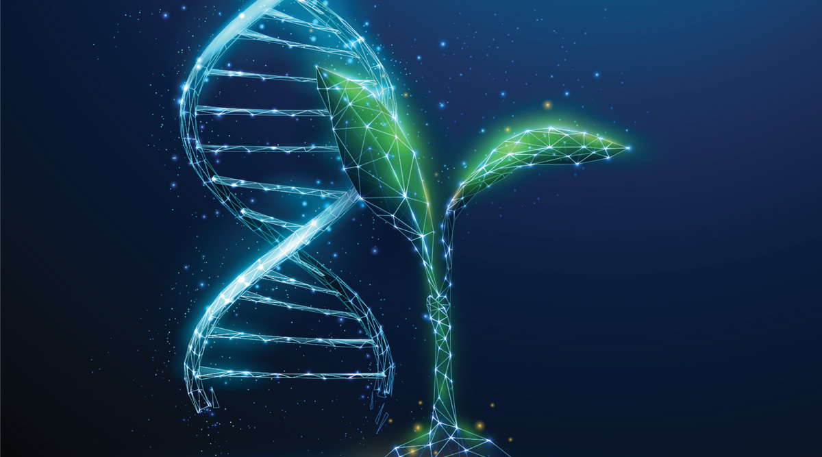 Green plant sprout with blue3d DNA molecule helix.