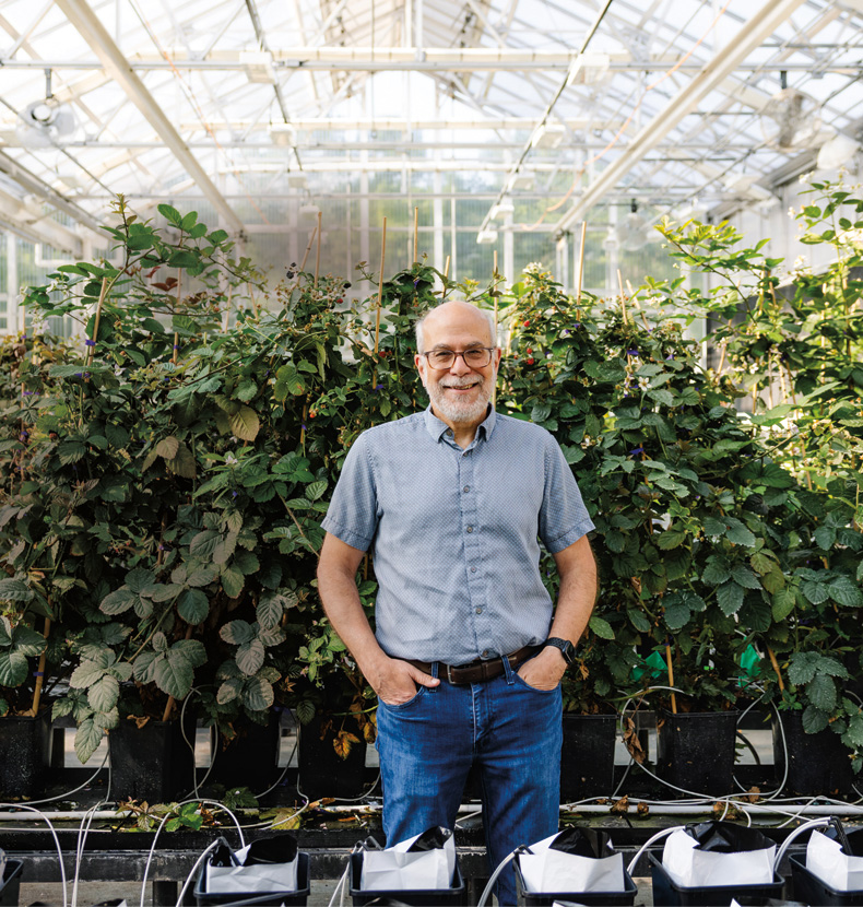 Tom Adams, Cofounder & CEO, Pairwise