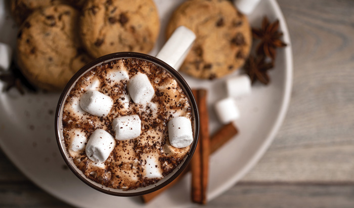 Hot Chocolate and Cookies