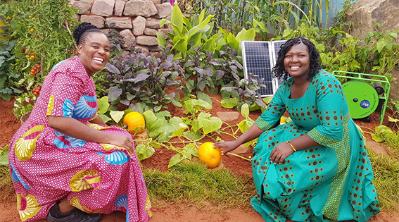 UN awards food, agriculture projects for global climate ...