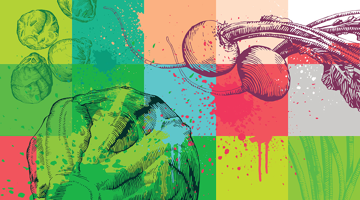 Omnivore Episode 24 colorful grid graphic with radishes, cabbage, and Brussels sprouts